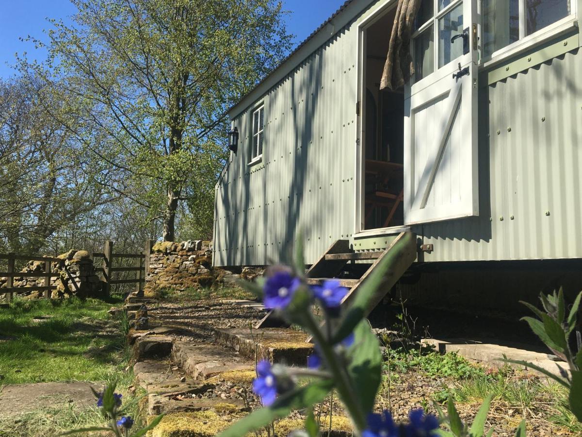 Posh Huts Farmstay Falstone Exterior photo