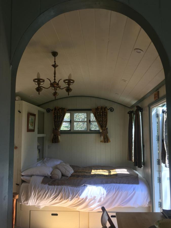Posh Huts Farmstay Falstone Exterior photo